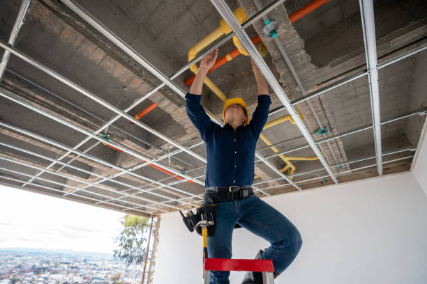 Best Same-Day Plumbing Service  in Farmer City, IL