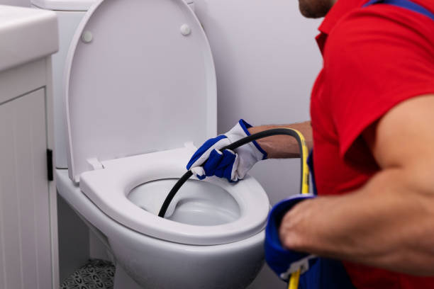 Best Same-Day Plumbing Service  in Farmer City, IL