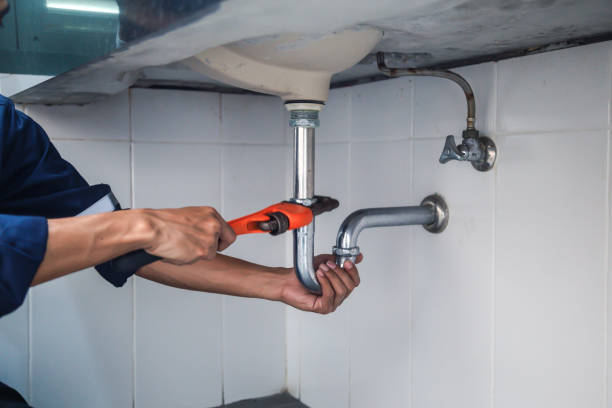 Best 24-Hour Plumber Near Me  in Farmer City, IL