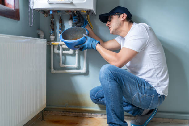 Best Sewer Line Repair  in Farmer City, IL