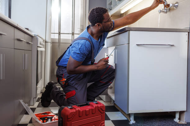 Best Plumbing Inspection Services  in Farmer City, IL