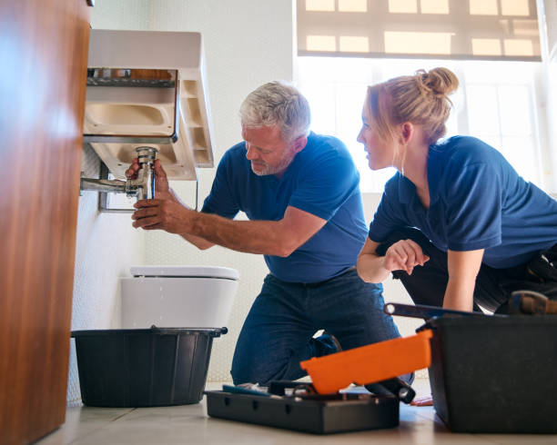 Best Affordable Plumber Near Me  in Farmer City, IL