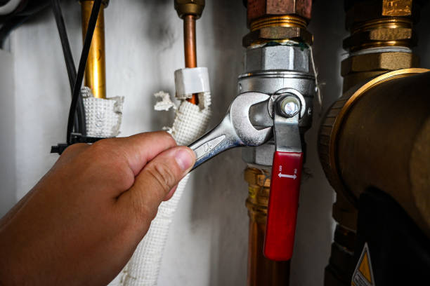 Best Clogged Drain Plumber  in Farmer City, IL